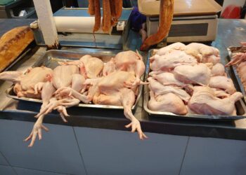 DIFERENTES PRECIOS EN LA CARNE SE POLLO MANTIENE LAS EXPECTATIVAS A LOS CIUDADANOS