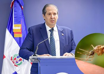 Salud Pública descarta brote de chikungunya y llama a la población a mantener la calma