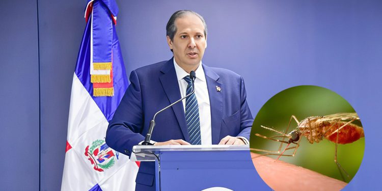 Salud Pública descarta brote de chikungunya y llama a la población a mantener la calma