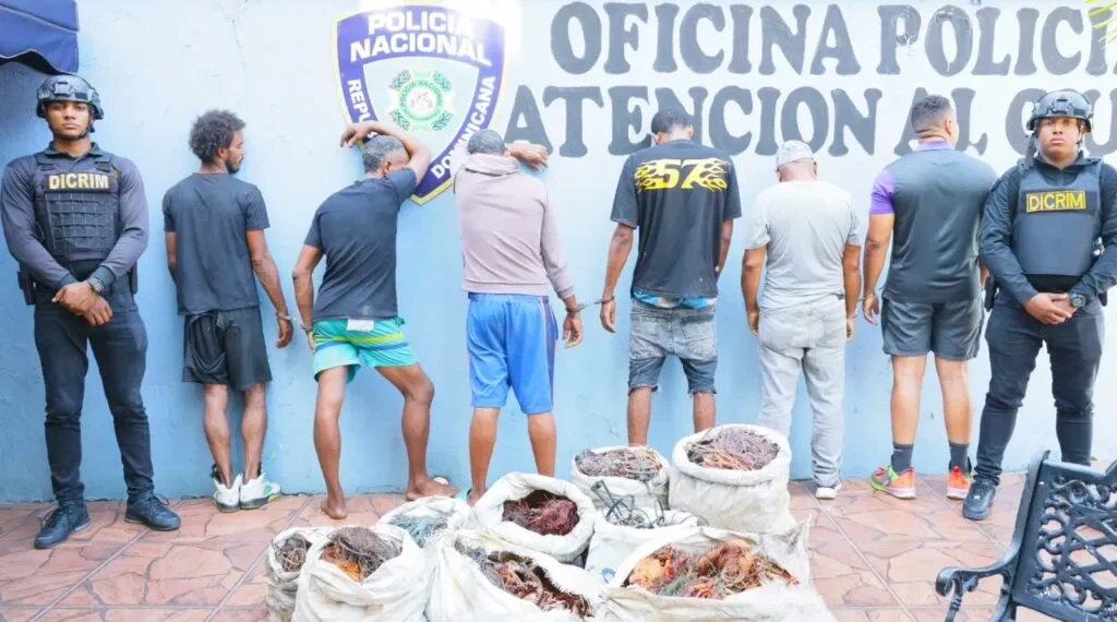Policía Nacional desarticula red dedicada al hurto de cables eléctricos en el Distrito Nacional