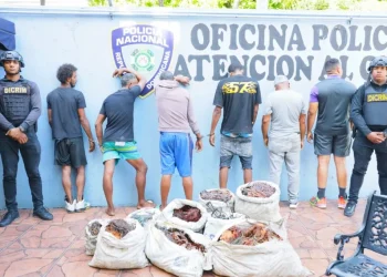 Policía Nacional desarticula red dedicada al hurto de cables eléctricos en el Distrito Nacional