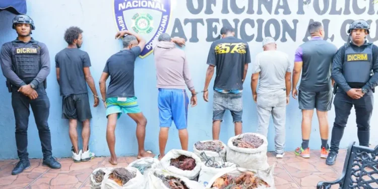 Policía Nacional desarticula red dedicada al hurto de cables eléctricos en el Distrito Nacional