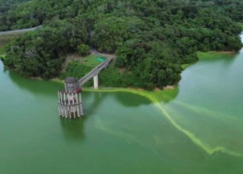 Coloración verde en la presa de Hatillo despierta alertas ambientales en Sánchez Ramírez
