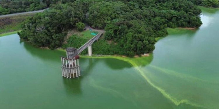 Coloración verde en la presa de Hatillo despierta alertas ambientales en Sánchez Ramírez
