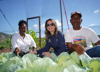 Supérate pone en marcha infraestructura agrícola protegida para impulsar la producción local en Azua