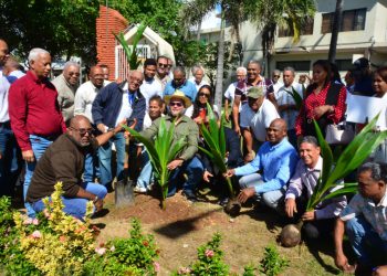 FEDA destaca expansión nacional del cultivo de coco tras tres años de impulso al sector