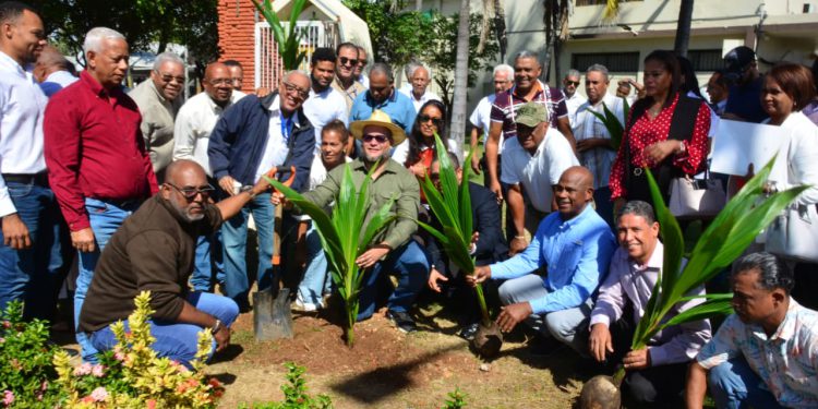 FEDA destaca expansión nacional del cultivo de coco tras tres años de impulso al sector