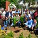 FEDA destaca expansión nacional del cultivo de coco tras tres años de impulso al sector