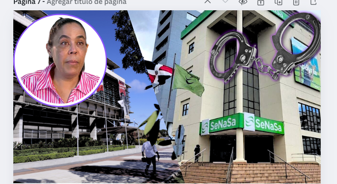 Documentos ocupados a imputada revelan pagos ligados a presuntos sobornos de empresa Lufarca dentro de SENASA