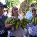 Inespre lleva sus ofertas del Programa Grandes Ferias de Productores a residentes de San Cristóbal