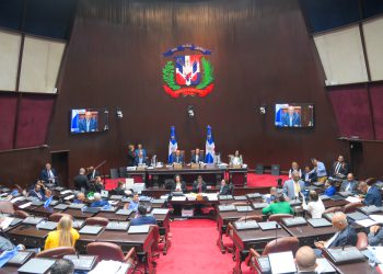 CD aprueba en primera lectura proyecto de ley orgánica que crea el DNI