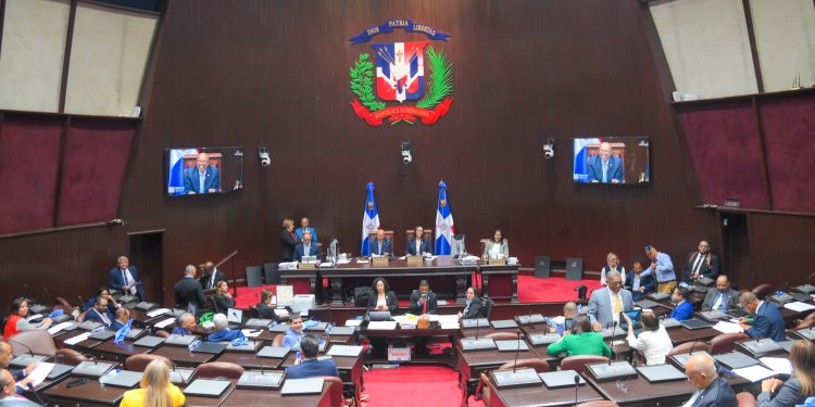 CD aprueba en primera lectura proyecto de ley orgánica que crea el DNI