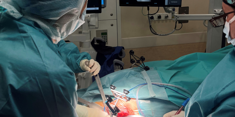 Hospital Ney Arias Lora realiza exitosa jornada quirúrgica de alta complejidad en reemplazo de rodilla y cadera