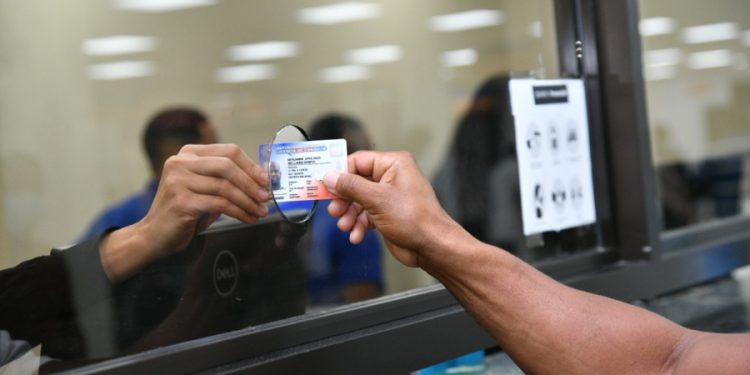 Intrant iniciará emisión de nueva licencia de conducir al público el 2 de marzo