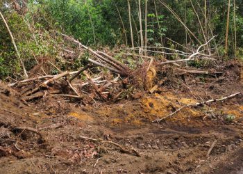 Convocan este marte en Bayaguana a encendido de velas por protección a loma de Managuá