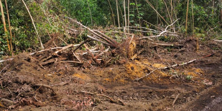 Convocan este marte en Bayaguana a encendido de velas por protección a loma de Managuá