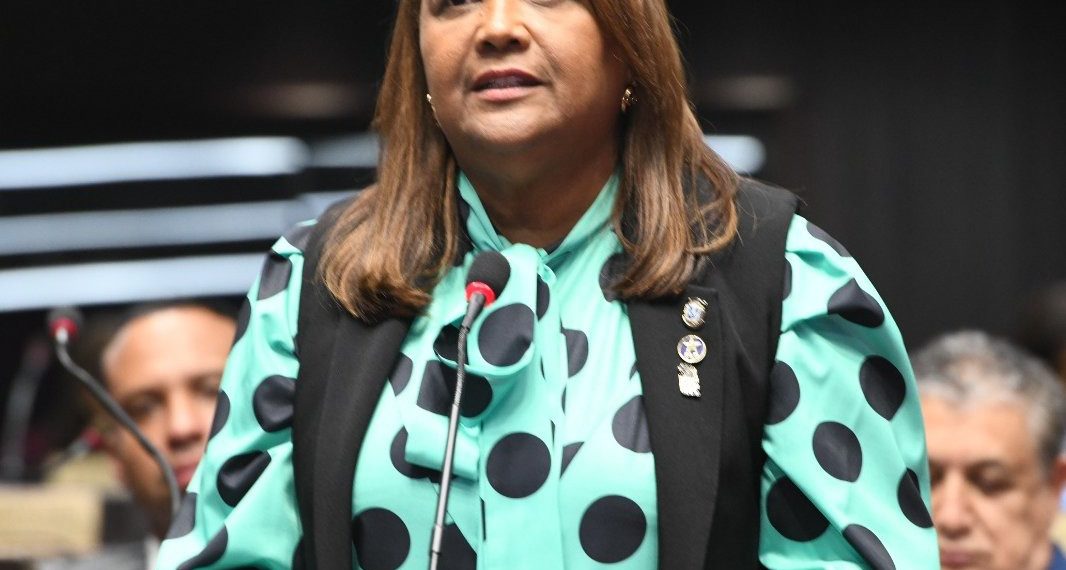 Diputada Ydenia Doñé clama por terminación urgente acueducto y carretera del distrito de Hato Dama