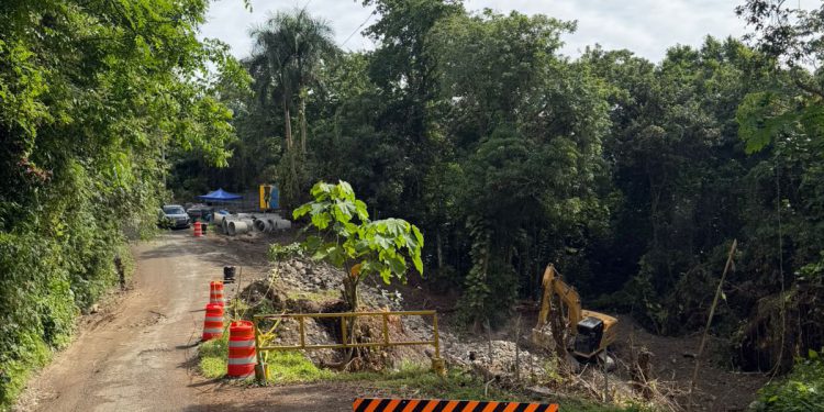 Obras Públicas interviene derrumbe en calle La Isabel de Pedro Brand tras intensas lluvias
