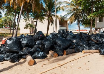 Alcaldía del DN, Medio Ambiente y otras entidades realizan limpieza en playa Montesinos