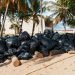 Alcaldía del DN, Medio Ambiente y otras entidades realizan limpieza en playa Montesinos