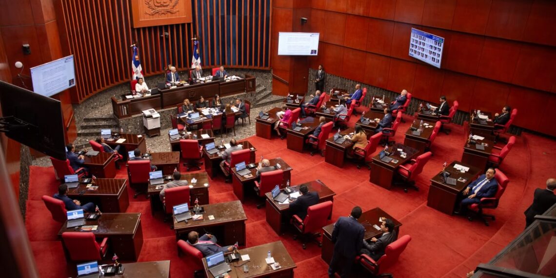 Senado aprueba en primera lectura Ley Reforma Policial.