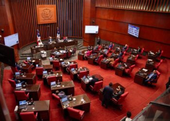 Senado aprueba en primera lectura Ley Reforma Policial.