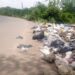 Vertederos improvisados mantienen a La Cuaba entre la basura mientras persiste el rechazo a la planta recicladora
