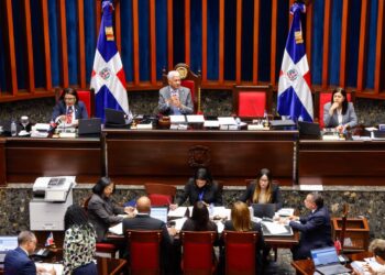 Senado aprueba en segunda lectura ley que crea el Instituto Nacional de Custodia a favor de las mujeres victimas de violencia de genero