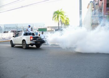 Salud Pública refuerza acciones contra el dengue y llama a eliminar criaderos desde el hogar