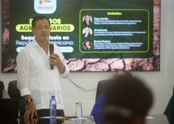 Productores llaman al Gobierno a proteger el arroz