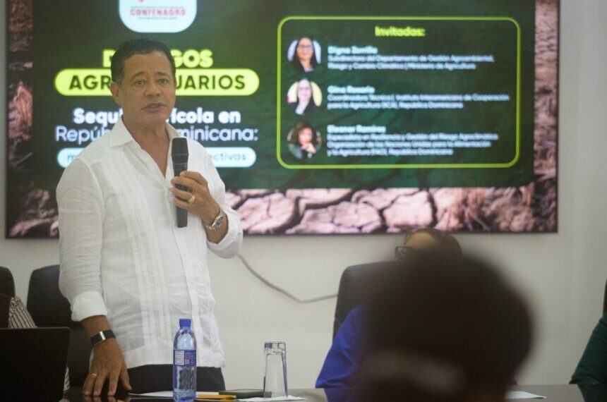 Productores llaman al Gobierno a proteger el arroz