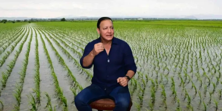 Abel Martínez acusa al Gobierno de dejar desprotegidos a los arroceros ante la apertura comercial con Estados Unidos